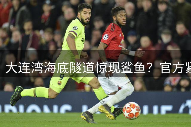 大连湾海底隧道惊现鲨鱼？官方紧急辟谣：纯属虚构！