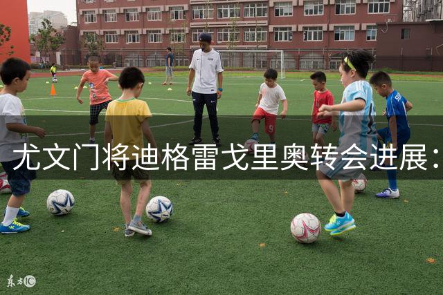 尤文门将迪格雷戈里奥转会进展：今夏或加盟马赛