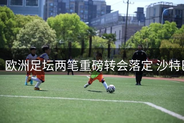 欧洲足坛两笔重磅转会落定 沙特巴黎各添强援