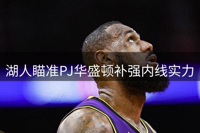 湖人瞄准PJ华盛顿补强内线实力